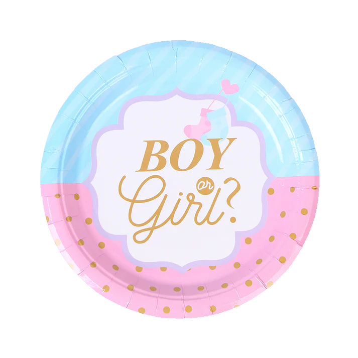 Party & Box Gender Guess Party Boy or Girl