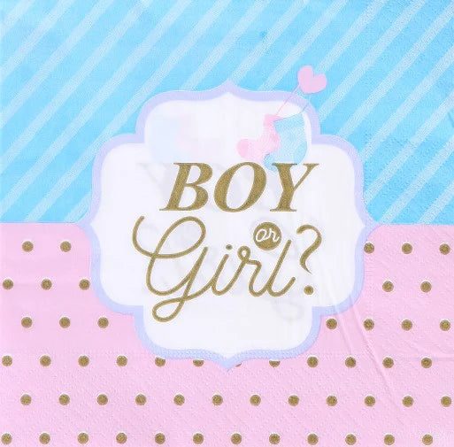 Party & Box Gender Guess Party Boy or Girl